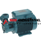 ELECTROLUX PROFESSİONAL TM61E 0.45HP ELEKTRİKLİ POMPA