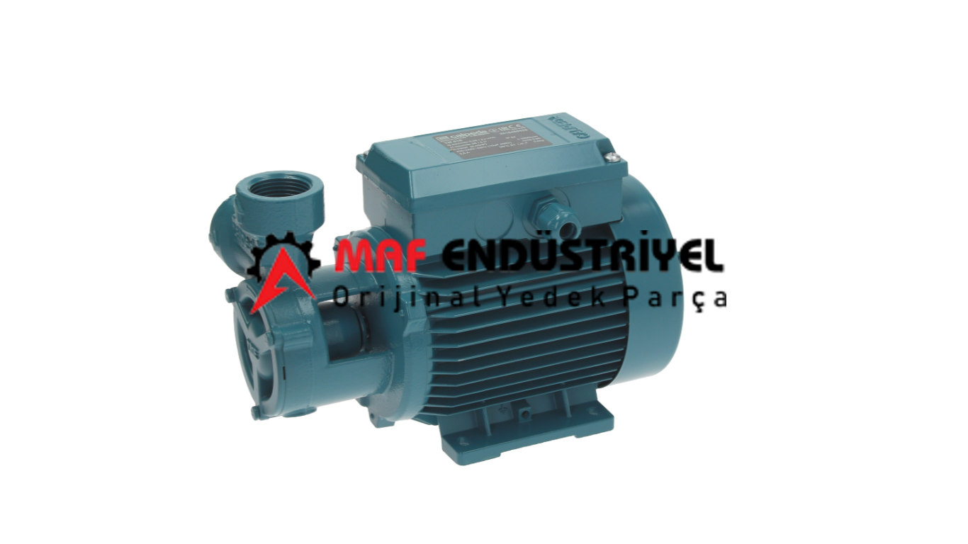 ELECTROLUX PROFESSİONAL TM61E 0.45HP ELEKTRİKLİ POMPA